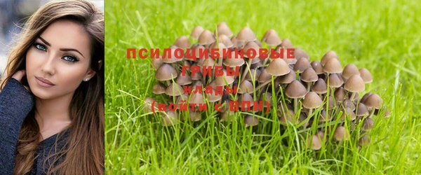 крисы Куйбышев