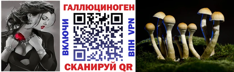 MEGA ТОР  Сураж  Галлюциногенные грибы мухоморы 